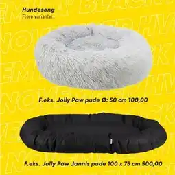 Bilka Hundeseng, DKK 500 tilbud