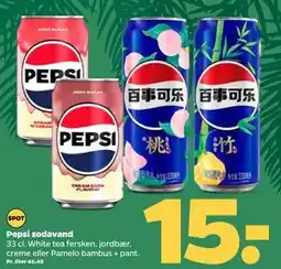 Netto Pepsi sodavand, DKK 15 tilbud