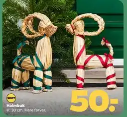 Netto Halmbuk, DKK 50 tilbud
