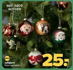 Netto Julepynt, DKK 25 tilbud