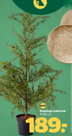 Netto Kunstigt cedertræ, DKK 189 tilbud