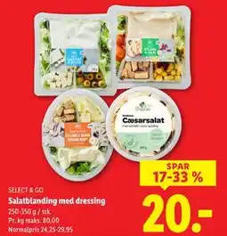 Lidl Salatblanding med dressing, DKK 20 tilbud