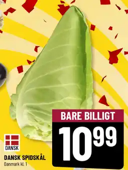 Løvbjerg Dansk dansk spidskål tilbud