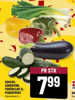 Løvbjerg Squash, aubergine, forårsløg el. peberfrugt tilbud