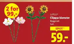 Lidl LUPILUⓇ Clippys blomster tilbud