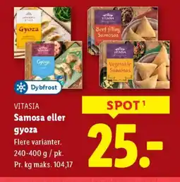 Lidl Dybfrost VITASIA Samosa eller gyoza tilbud