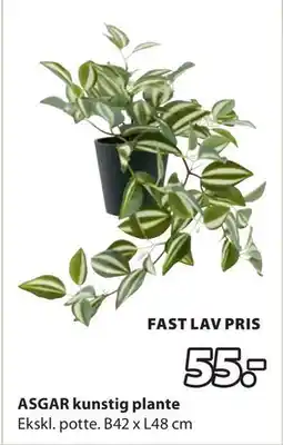 JYSK ASGAR kunstig plante, DKK 55 tilbud
