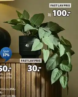 JYSK ANDERSEN kunstig plante, DKK 100 tilbud