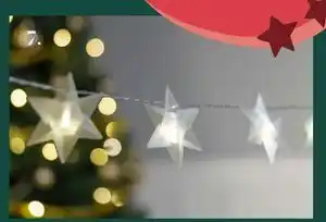 Harald Nyborg Stjerner 10 varmhvide LED., DKK 29 tilbud