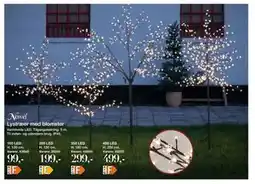 Harald Nyborg Lystræer med blomster tilbud