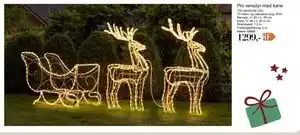 Harald Nyborg Pro rensdyr med kane, DKK 1299 tilbud