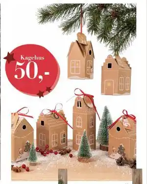 Harald Nyborg Kagehus, DKK 50 tilbud