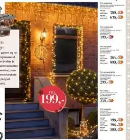 Harald Nyborg Pro netlys, DKK 259 tilbud