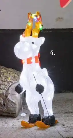 Harald Nyborg Rensdyr, DKK 249 tilbud