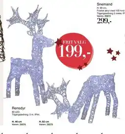 Harald Nyborg Rensdyr, DKK 199 tilbud