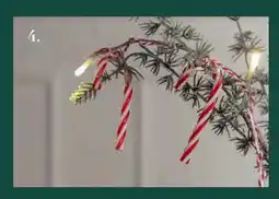 Harald Nyborg Lyskæde sukkerstokke 10 LED, DKK 29 tilbud