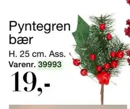 Harald Nyborg Pyntegren bær, DKK 19 tilbud