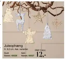 Harald Nyborg Juleophæng, DKK 12 tilbud