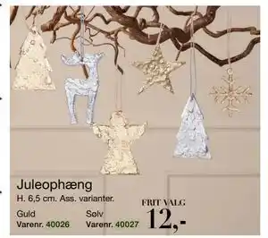 Harald Nyborg Juleophæng, DKK 12 tilbud