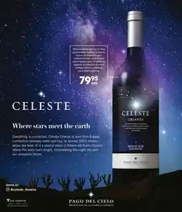 BorderShop PAGO DEL CIELO, DKK 79.95 tilbud