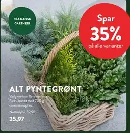 Plantorama ALT PYNTEGRØNT, DKK 25.97 tilbud