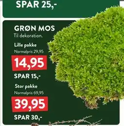 Plantorama GRØN MOS tilbud