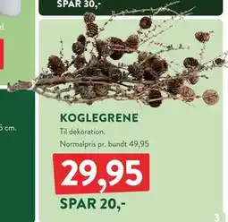 Plantorama KOGLEGRENE, DKK 29.95 tilbud