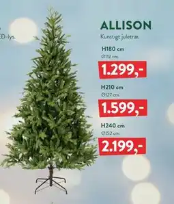 Plantorama ALLISON tilbud