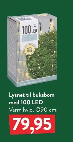 Plantorama Lysnet til buksbom med 100 LED, DKK 79.95 tilbud