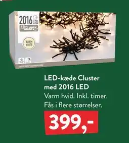 Plantorama LED-kæde Cluster med 2016 LED, DKK 399 tilbud