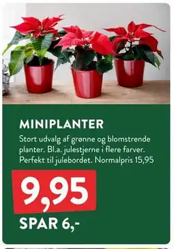 Plantorama MINIPLANTER, DKK 9.95 tilbud