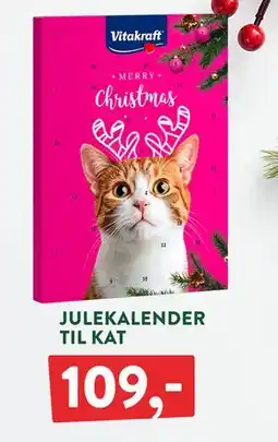 Plantorama JULEKALENDER TIL KAT, DKK 109 tilbud