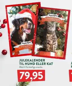 Plantorama JULEKALENDER TIL HUND ELLER KAT, DKK 79.95 tilbud