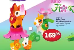 Buddy Leg Brio Flora Blomstersamlere tilbud