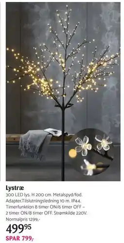 Kop & Kande Lystræ, DKK 499.95 tilbud