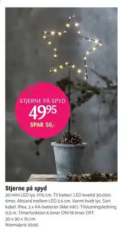 Kop & Kande Stjerne på spyd, DKK 49.95 tilbud