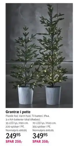 Kop & Kande Grantræ i potte tilbud