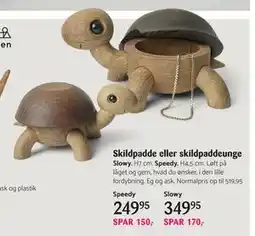 Kop & Kande Skildpadde eller skildpaddeunge tilbud
