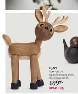 Kop & Kande Hjort, DKK 699.95 tilbud