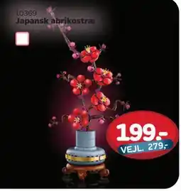 MID Hobby Japansk abrikostræ, DKK 199 tilbud