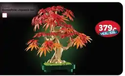 MID Hobby Bonsaitræ: Japansk løn, DKK 379 tilbud