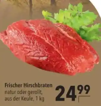 Citti Frischer hirschbraten tilbud