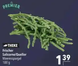 Citti Frischer salicorne/queller tilbud