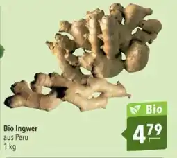 Citti Bio ingwer tilbud