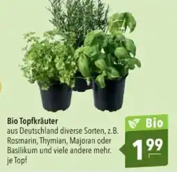 Citti Bio topfkräuter tilbud