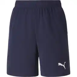 Sport 24 PUMA teamGOAL 23 Knit Træningsshorts Børn tilbud