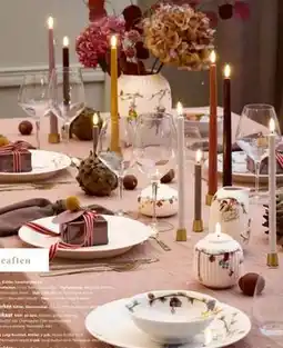 Kop & Kande Glas, DKK 499.95 tilbud