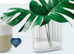 Kop & Kande Vase, DKK 499.95 tilbud