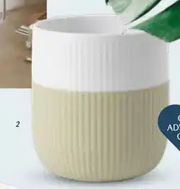 Kop & Kande Krus, DKK 269.95 tilbud