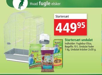 Startersæt undulat